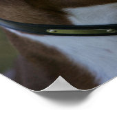 Boxer Hundeseite Profil Poster (Ecke)