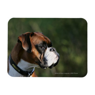Boxer-Hundeseiten-Profil Magnet