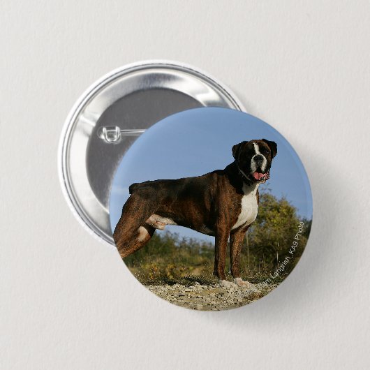 Boxer-Hundeshow-Position Button (Vorne & Hinten)