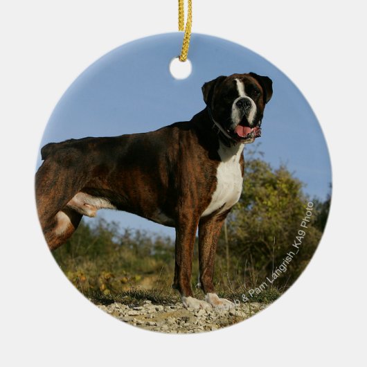 Boxer-Hundeshow-Position Keramik Ornament (Vorne)