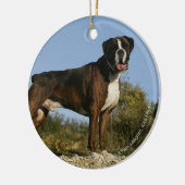 Boxer-Hundeshow-Position Keramik Ornament (Links)
