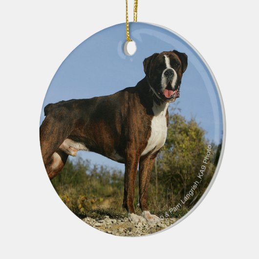 Boxer-Hundeshow-Position Keramik Ornament (Links)