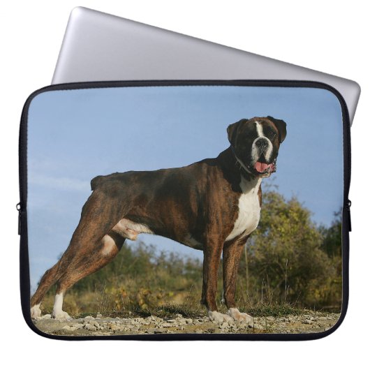 Boxer-Hundeshow-Position Laptopschutzhülle (Vorderseite)