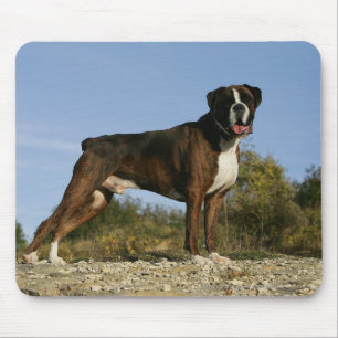 Boxer-Hundeshow-Position Mousepad