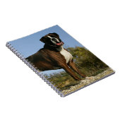 Boxer-Hundeshow-Position Notizblock (Rechte Seite)