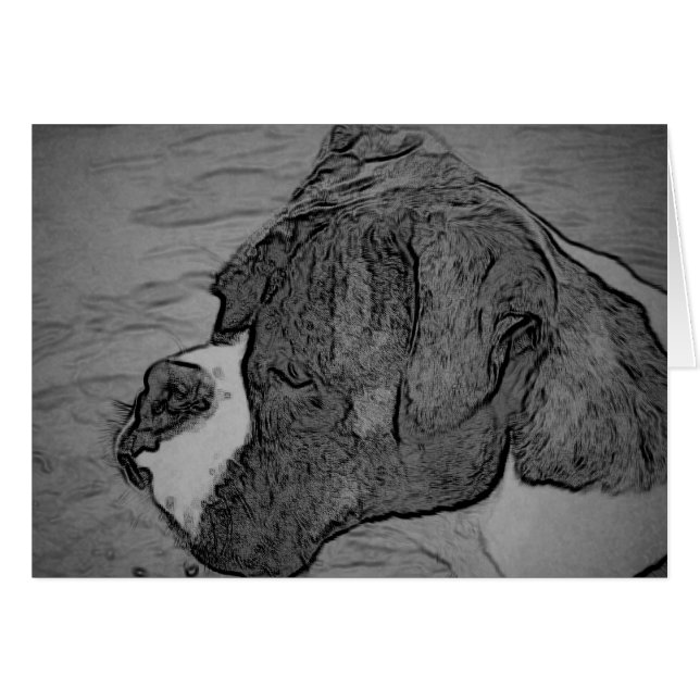 Boxer-Hundeskizze (Vorderseite (Horizontal))