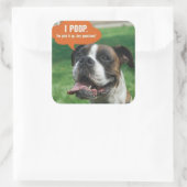 Boxer - Ich kackte Quadratischer Aufkleber (Tasche)