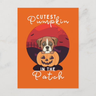 Boxer In Pumpkin Dogs Cutest Pumpkin In The Patch Feiertagspostkarte