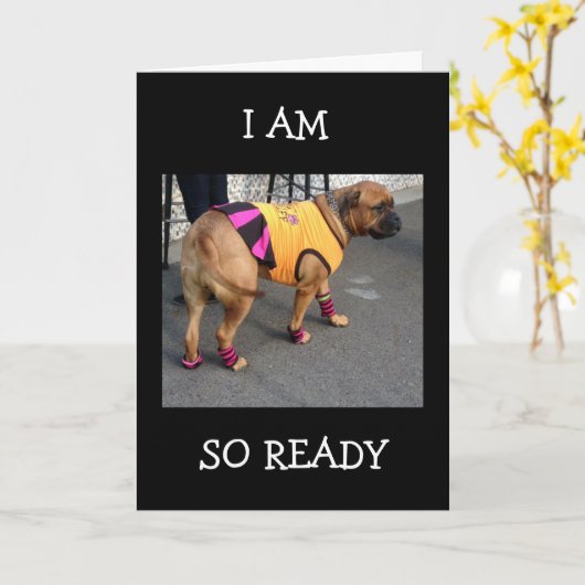 BOXER IS SO READY TO HELP CELEBRATE YOUR BIRTHDAY KARTE (Gelbe Blume)