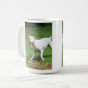 Boxer Kaffeetasse