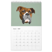 Boxer Kalender (Mär 2027)