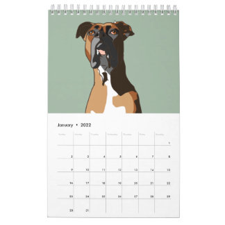 Boxer Kalender