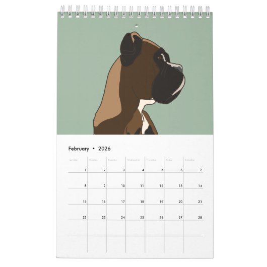 Boxer Kalender (Feb 2026)