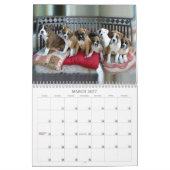 Boxer-Kalender 2013 Kalender (Mär 2027)