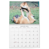 Boxer-Kalender 2013 Kalender (Jan 2026)