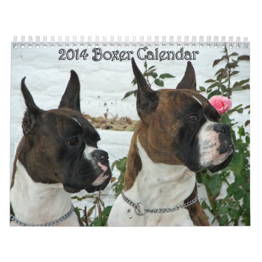 Boxer-Kalender 2014 Kalender (Titelbild)