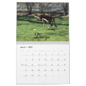 Boxer-Kalender 2014 Kalender (Mär 2027)