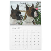 Boxer-Kalender 2014 Kalender (Jan 2027)