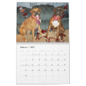 Boxer-Kalender 2014 Kalender (Feb 2027)
