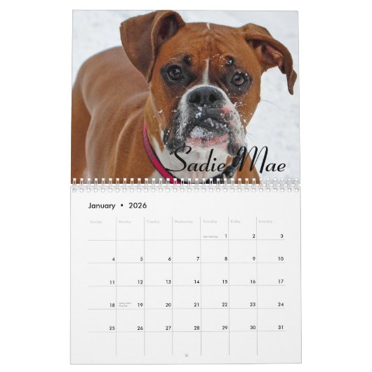 Boxer-Kalender 2015 Kalender (Jan 2026)