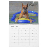 Boxer-Kalender 2015 Kalender (Mär 2027)