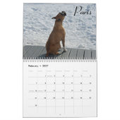 Boxer-Kalender 2015 Kalender (Feb 2027)
