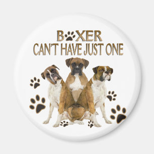 Boxer kann nicht nur ein Geschenk haben Magnet