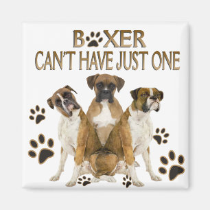 Boxer kann nicht nur ein Geschenk haben Magnet