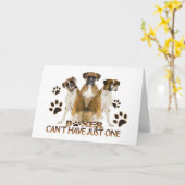 Boxer kann nicht nur eine Karte haben (Gelbe Blume)