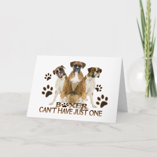 Boxer kann nicht nur eine Karte haben (Vorderseite)