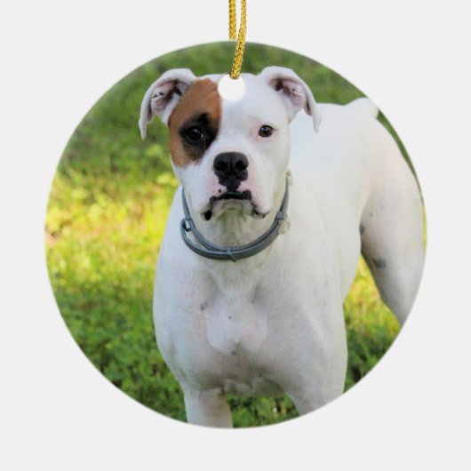 Boxer Keramik Ornament (Vorne)