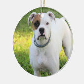 Boxer Keramik Ornament (Links)