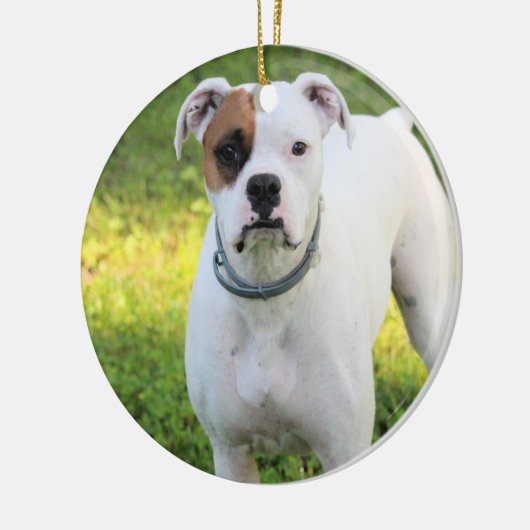 Boxer Keramik Ornament (Links)