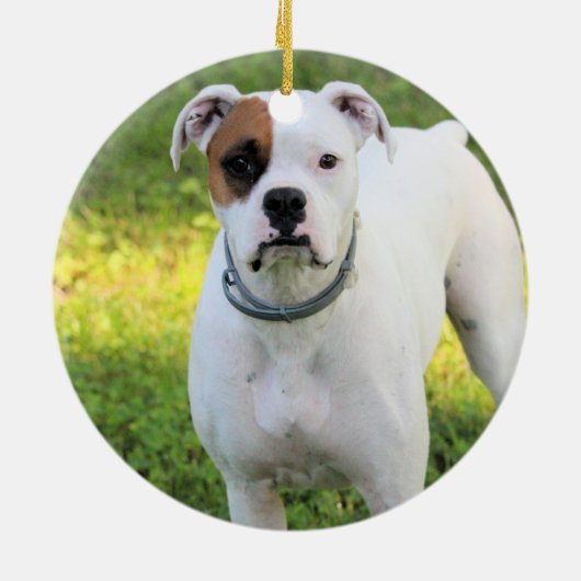 Boxer Keramik Ornament (Hinten)