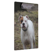 Boxer Klemmbrett (Rechts)