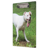 Boxer Klemmbrett (Links)