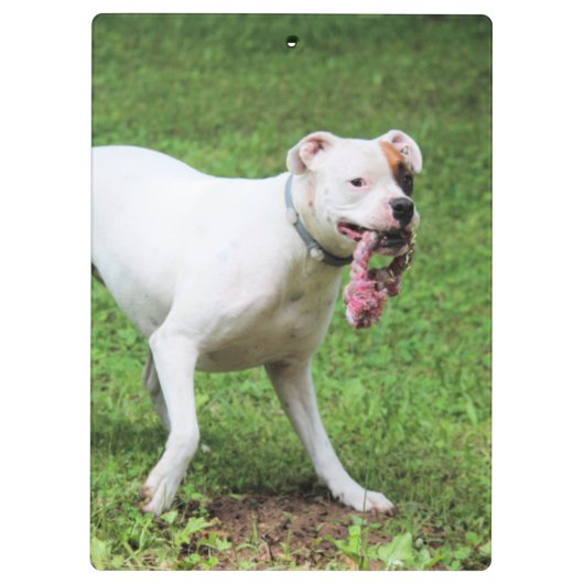 Boxer Klemmbrett (Rückseite)