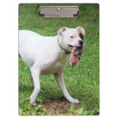 Boxer Klemmbrett (Vorderseite)