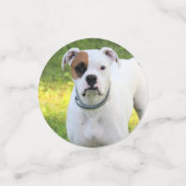 Boxer Konfetti (Klein Vorderseite)