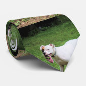 Boxer Krawatte (Gerollt)