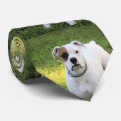 Boxer Krawatte (Gerollt)