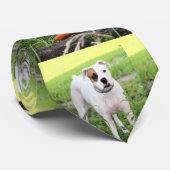 Boxer Krawatte (Gerollt)