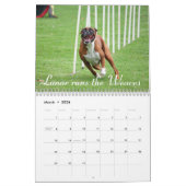Boxer-Leistungs-Kalender der Sonderausgabe-2015 Kalender (Mär 2026)