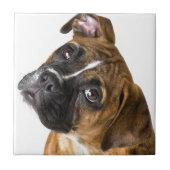 Boxer-Liebe Fliese (Vorderseite)