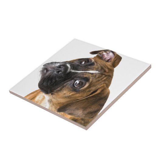 Boxer-Liebe Fliese (Seite)