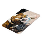 Boxer Liebe Magnet (Linke Seite)