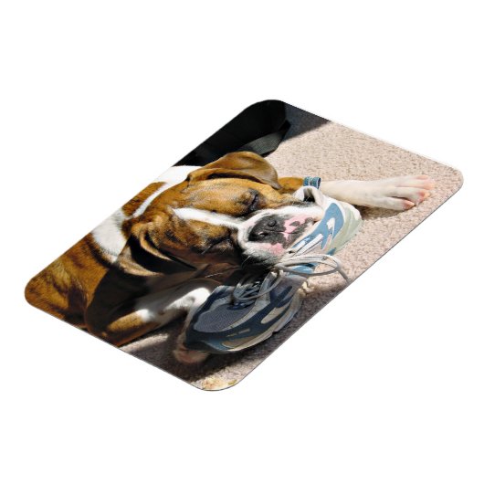 Boxer Liebe Magnet (Linke Seite)