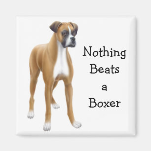 Boxer Magnet