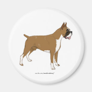 Boxer Magnet