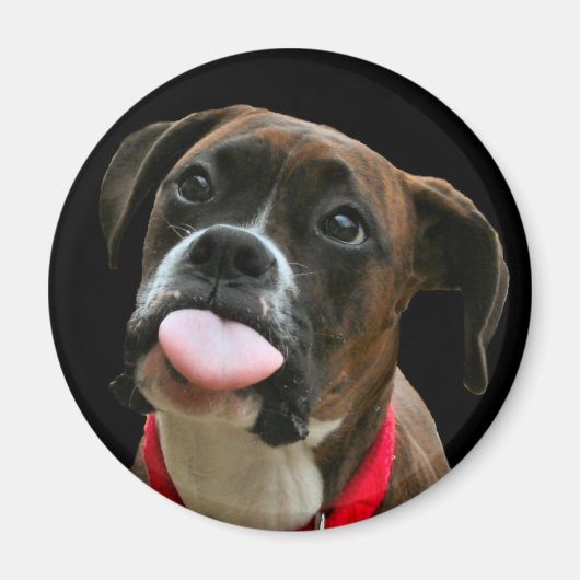 Boxer Magnet (Vorne)